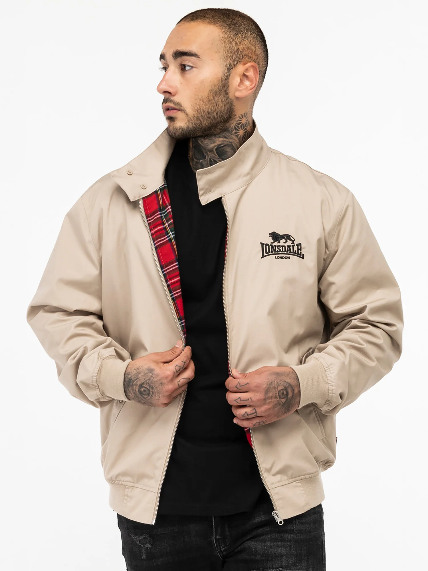 CLASSIC - Image 17