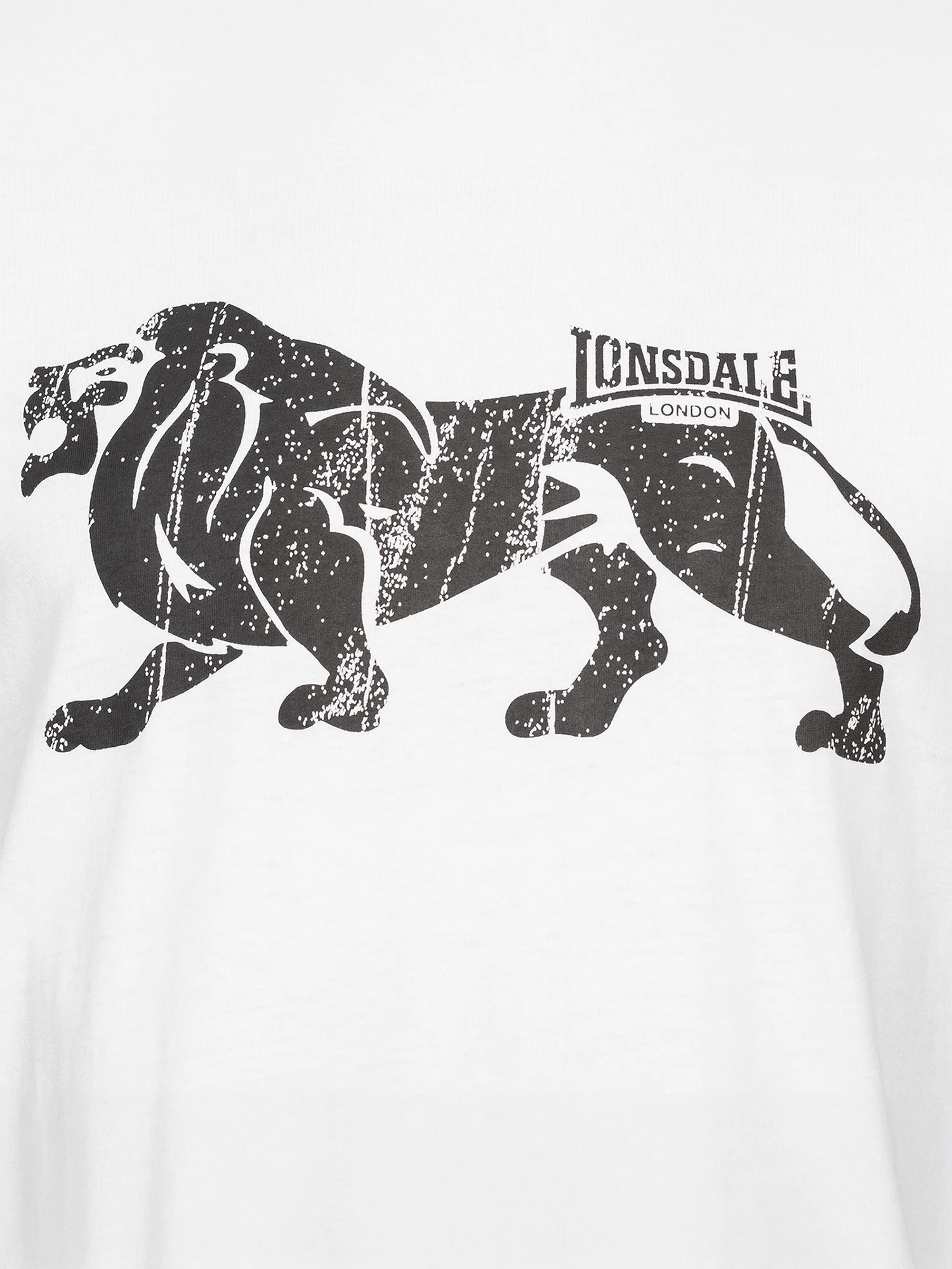 ENDMOOR - Image 12