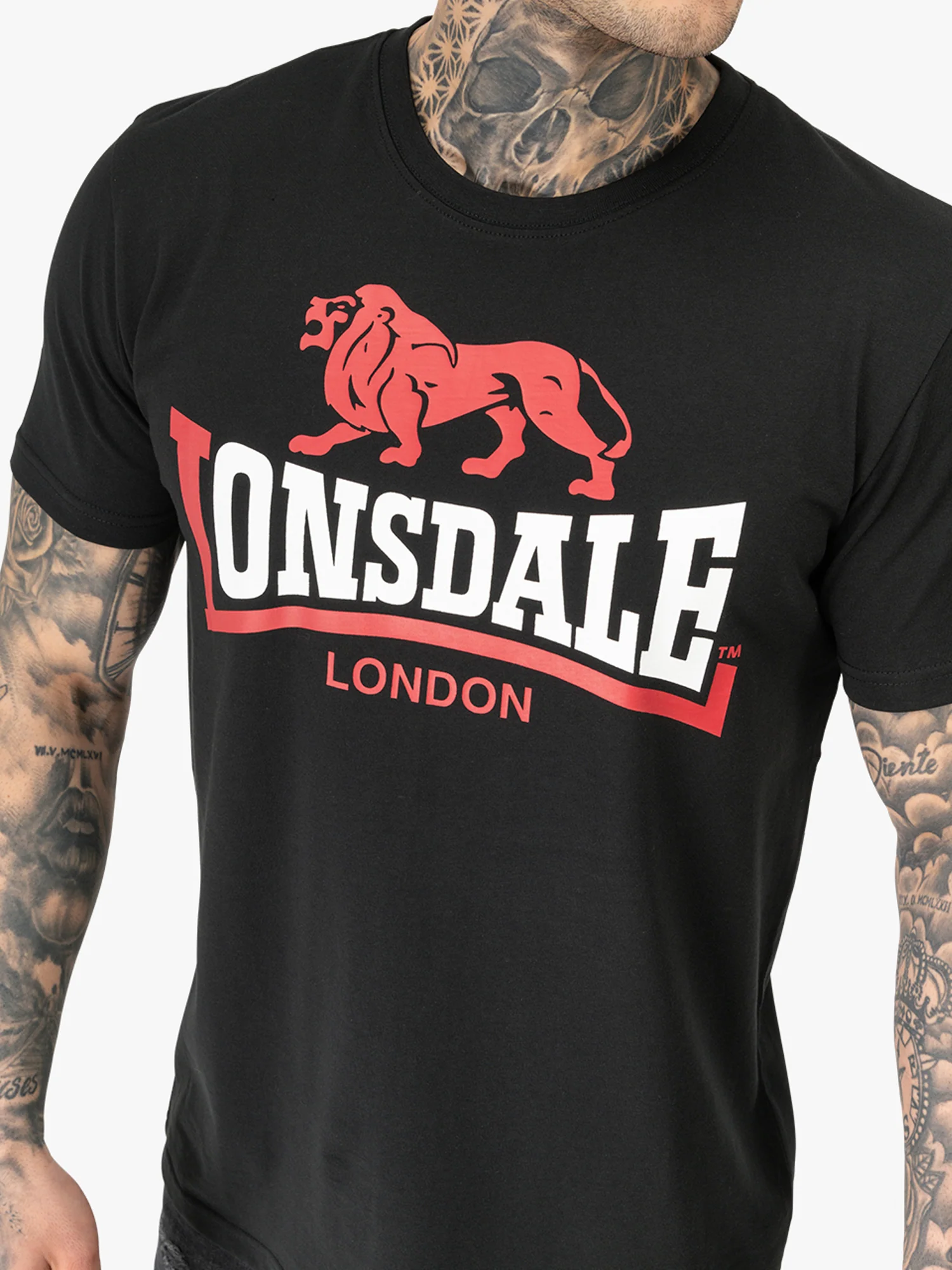 LION TWO TONE - Image 10