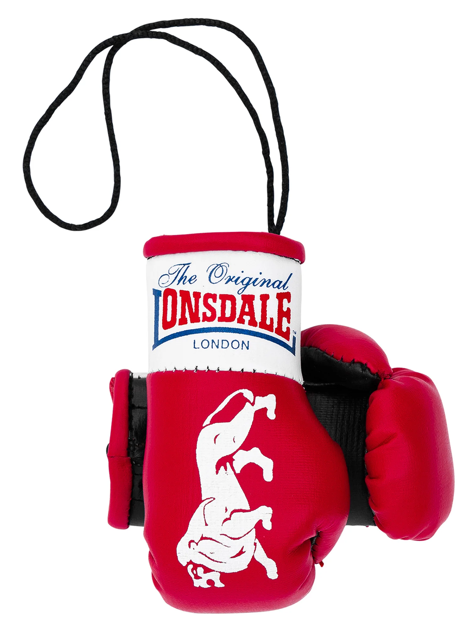 MINI BOXING GLOVES - Image 3