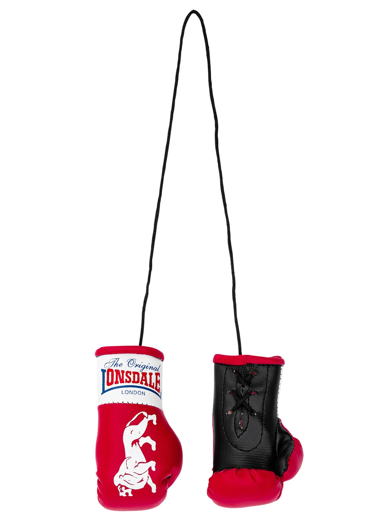 MINI BOXING GLOVES - Image 4